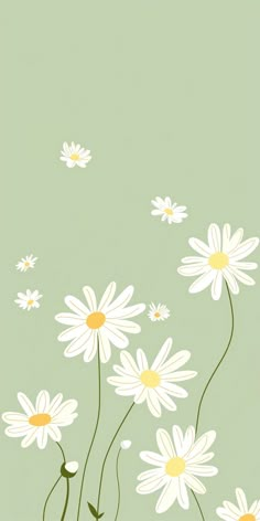 white daisies on a green background