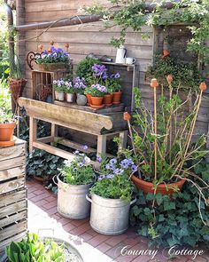 a wooden bench surrounded by potted plants