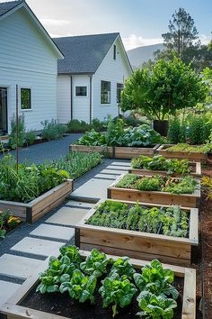 Raised garden beds with various vegetables and herbs beside a white house, featuring a stone pathway and a tree in the background under a clear sky. Garden Farming, Front Yard Garden Ideas Vegetables, Aesthetic Veggie Garden, Vegetables Garden, Garden Aesthetic Vegetable, Fruit And Veggie Garden Aesthetic, Backyard Vegetable Garden Aesthetic, Vege Garden Aesthetic, Raised Bed Herb Garden