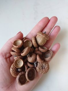 a hand holding some tiny mushrooms in it's left palm and the top one is brown