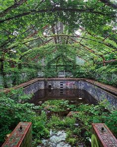 an abandoned building with lots of trees and plants growing around the area, in which there is