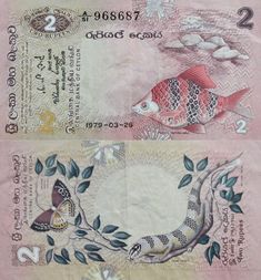 two different bills with fish on them, one is pink and the other is blue