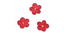 three small red flowers on a white background