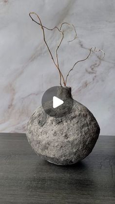 a rock with a plant growing out of it