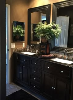 a bathroom with double sinks, mirrors and plants on the counter top in front of it