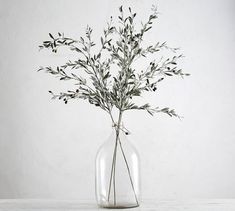 a glass vase filled with green plants on top of a white table next to a wall