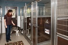 a woman is walking her dog through the kennels with their caged doors open