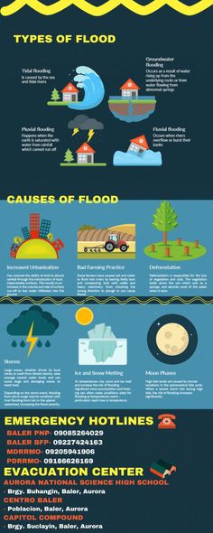 an info poster showing the different types of boats in the ocean and how they are used to