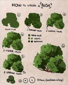 how to create a bush in adobe and photoshopped with the help of graphic tools