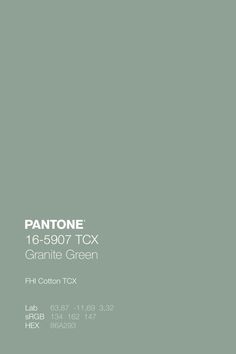 pantone's gray paint color is shown in the same shade as the background