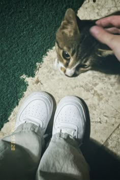 Dazz cam photo aesthetic cat Poses With Cats Instagram, Random Dump Photos, Random Photo Dump Pics, Aesthetic Dump Photos, Dump Pictures Aesthetic, Cat With Shoes, Aesthetic Shoes Photo, Dazz Cam Aesthetic, Cam Aesthetic