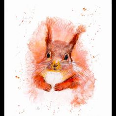 a watercolor painting of a red squirrel