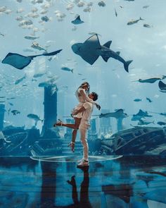 two people are dancing in front of an aquarium with fish and other sea creatures around them