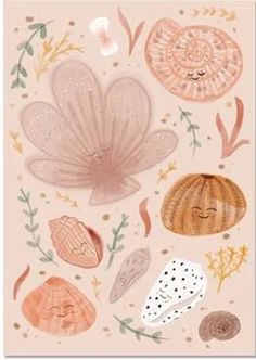 an illustration of seashells and seaweed on a pink background