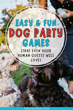 Are you looking for fun dog games to play at their doggie birthday party? Try out one of these fun dog birthday activities. Dog Birthday Party Activities For Dogs, Doggie Birthday Ideas, Dog Park Party, Dog Birthday Games, Dog Birthday Party Activities, Dog Party Games For Dogs, Dog Festival Ideas, Dog Party Activities, Dog Birthday Activities