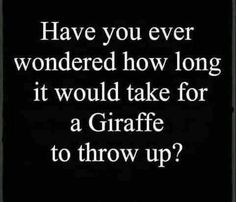 a black and white photo with the words have you ever wondered how long it would take for a giraffe to throw up?