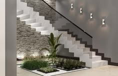 an indoor area with stairs, plants and lights