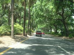 a red truck driving down a tree lined road