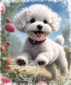 a small white dog standing on its hind legs in front of pink flowers and the words happy valentine written below it