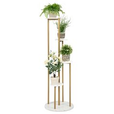 three potted plants are sitting on top of a tall metal stand with gold legs