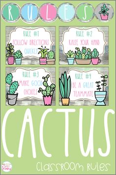 classroom rules for cactus plants and succulents with the words cactus on them