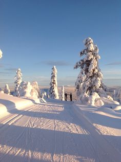 two people standing in the middle of a snowy landscape with snow covered trees on both sides