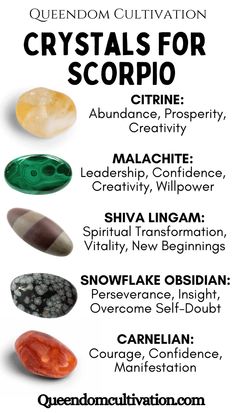 Crystals for Scorpio Crystals For Scorpio, Scorpio Crystals, Kundalini Activation, Crystal Healing Chart, The Scorpio, Shiva Lingam, Heart Healing, Masculine Feminine, Crystal Cave