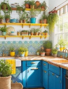 a kitchen filled with lots of potted plants on top of wooden shelves above a sink