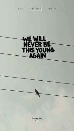 a bird sitting on top of power lines with the words we will never be this young again