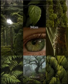 a collage of photos with green plants and trees in the background, including an eye