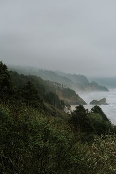 an image of foggy day on the coast with trees and mountains in the background