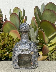 a crystal bottle sitting on top of a cement slab next to plants and succulents