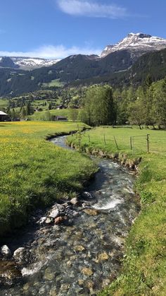 a small stream running through a lush green field with mountains in the backgroud