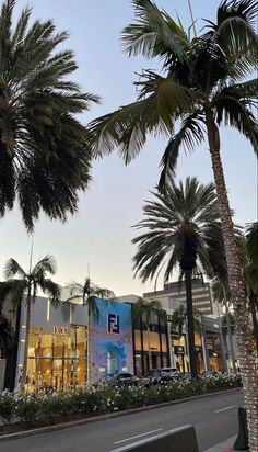 palm trees line the street in front of a shopping center at dusk with lights on