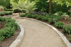 a stone path in the middle of a garden