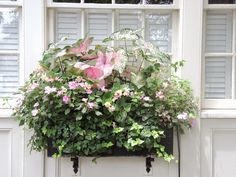 a window box filled with lots of flowers next to a white door and windowsill