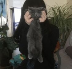 a woman holding a cat up to her face in front of her face with both hands