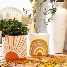 three potted plants sitting on top of a rug next to vases with plants in them