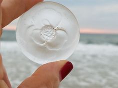 a hand holding a small white object in front of the ocean