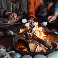 people roasting marshmallows over an open fire