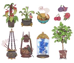 an image of various plants in pots