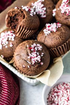 chocolate cupcakes with white sprinkles and crushed candy canens on top