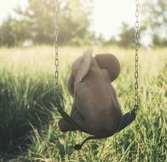 a teddy bear sitting on a swing in the middle of a field with tall grass