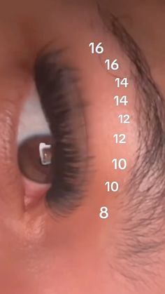 Cluster Eyelash Mapping, Lash Map With Clusters, Lashes Numbers, Lash Numbers, Short Lash Map Clusters, Lashes Set Ideas, Eyelash Cluster Mapping Styles, Eyelash Clusters Map, Lash Maps Natural