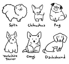 four different types of dogs in black and white with the names of their respective breeds