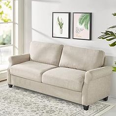 a living room scene with focus on the couch and potted plant in the corner