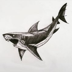 a drawing of a shark with sharp teeth