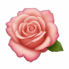 a single pink rose with green leaves on a white background