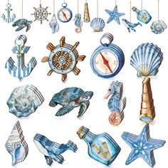 an assortment of sea related items on a white background