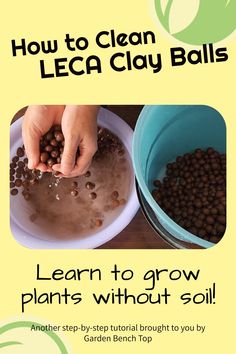 Cleaning LECA clay pebbles for the first time Hydroponic Clay Pebbles, How To Use Clay Pebbles For Plants, Clay Pebbles For Plants, Hydroponic House Plants, Leca Balls For Plants, Semi Hydroponics, Aeroponic Gardening, Plants In The Home, Planting In Clay